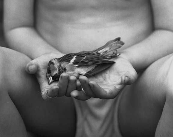 Katherine Turczan, "Bird"