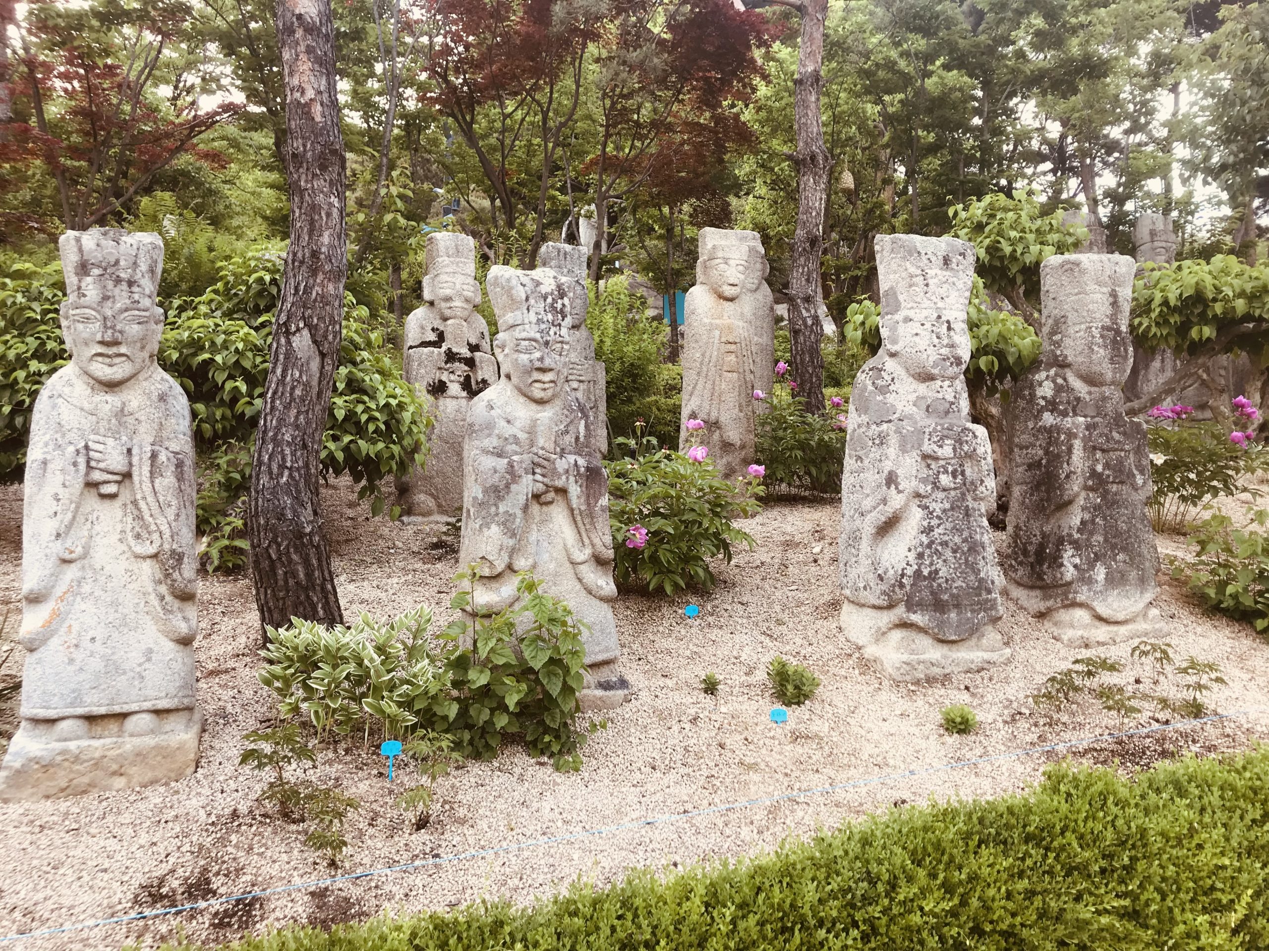 Korean stone sculptures from the Joseon Dynasty, in an outdoor exhibit at the Korean Stone Art Museum. Eight light stone sculptures, in the form of human figures with hands clasped, stand in a grove of gravel, bushes, and trees.