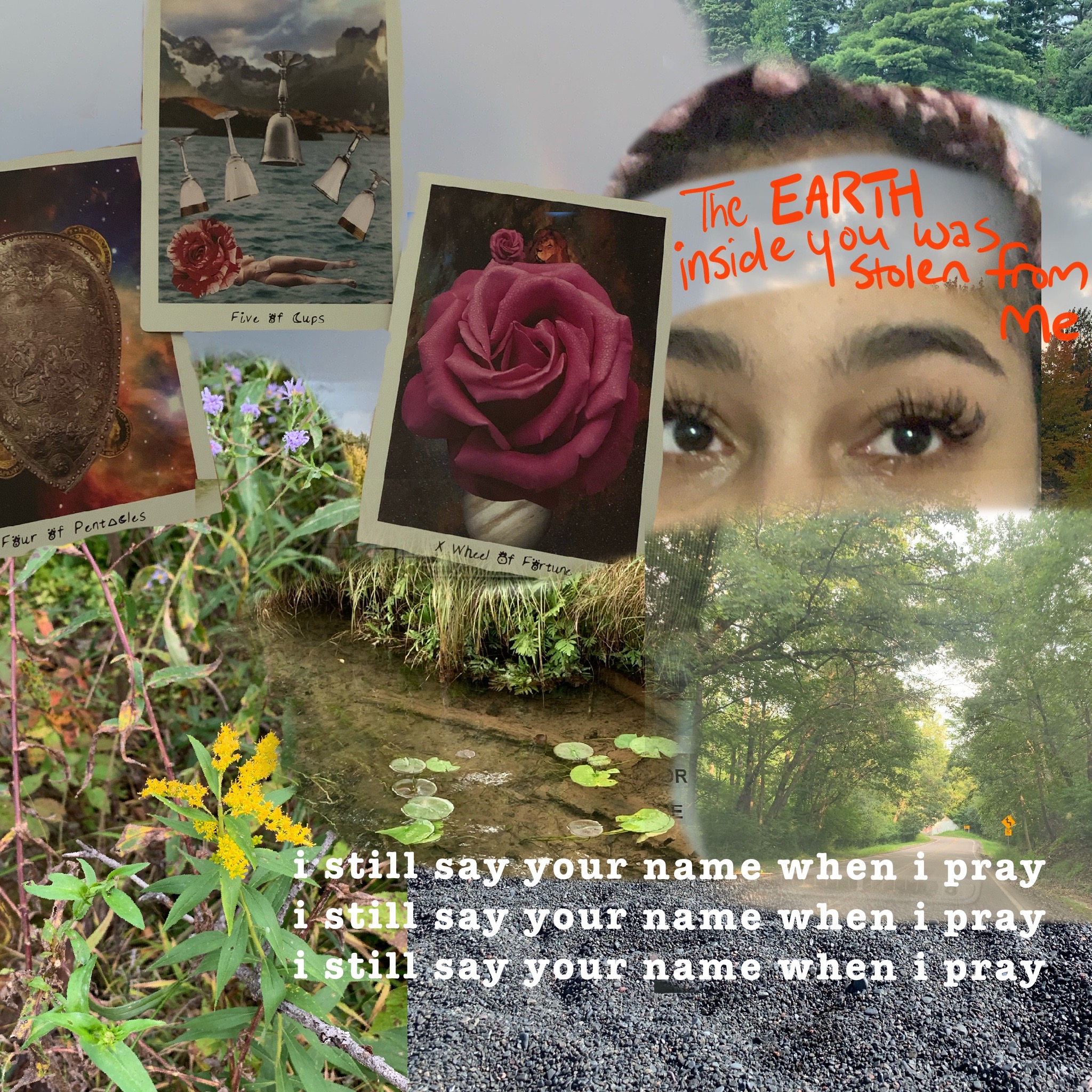 A collage featuring three tarot cards in the left corner: the Four of Pentacles, Five of Cups and the Wheel of Fortune. In the right corner there is light-skinned black femme with teary eyes and the words "The EARTH inside you was stolen from me" written across their forehead. The bottom of the collage is various types of foliage and a path surrounded by trees. In the bottom right the phrase "i still say your name when i pray" is repeated three times.