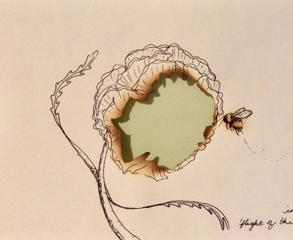 Modeled on bumblebee found inside screened porch. Fire, black permanent ink on sketch paper. Image description: Line drawing of a flower and a bumblebee. The paper in the center of the flower is burned out to reveal a light green layer underneath.