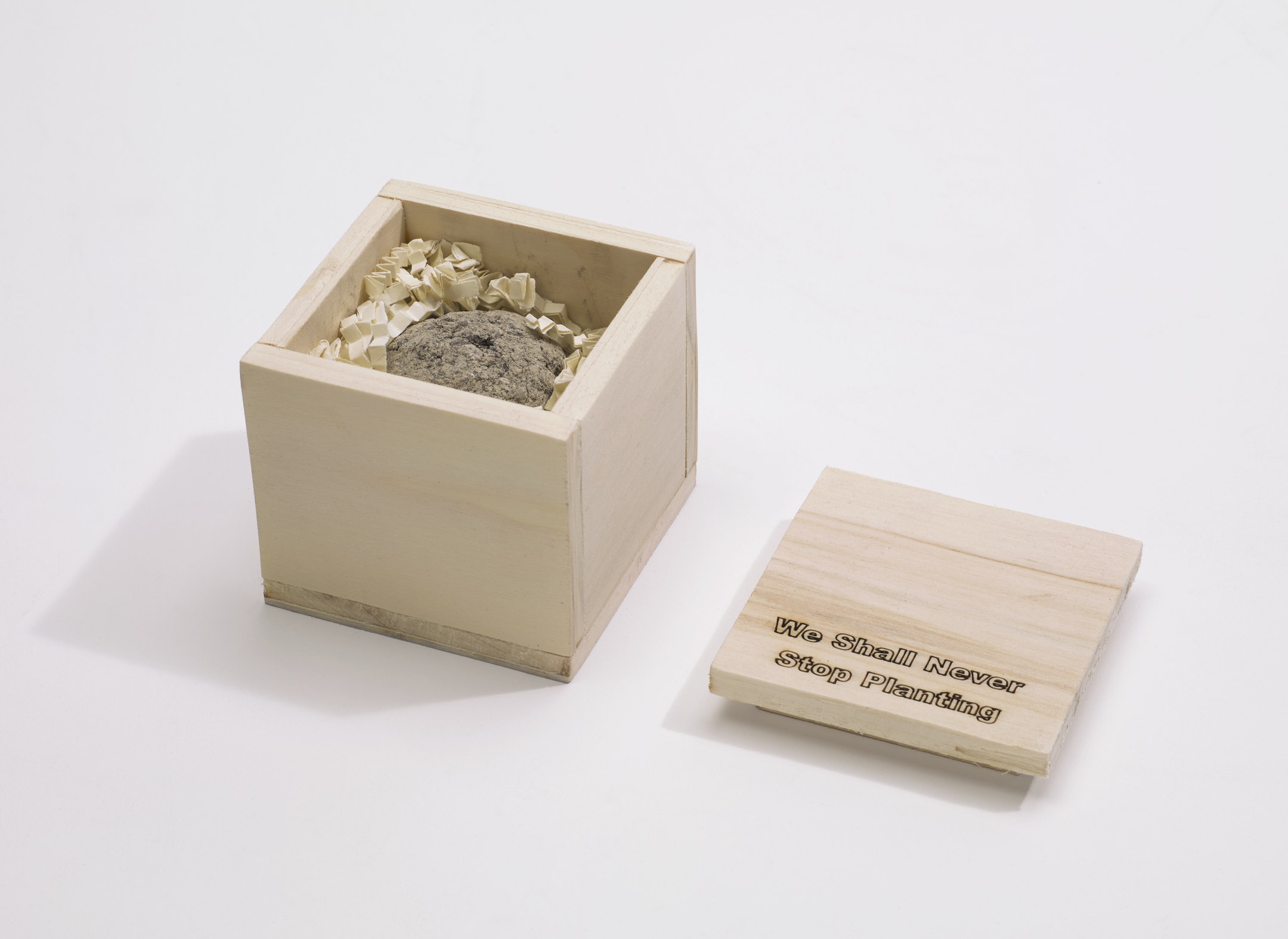 A square, blond wooden box holds brown clay, compost, and shredded paper. The lid of the box is printed with the words, “We Shall Never Stop Planting”.