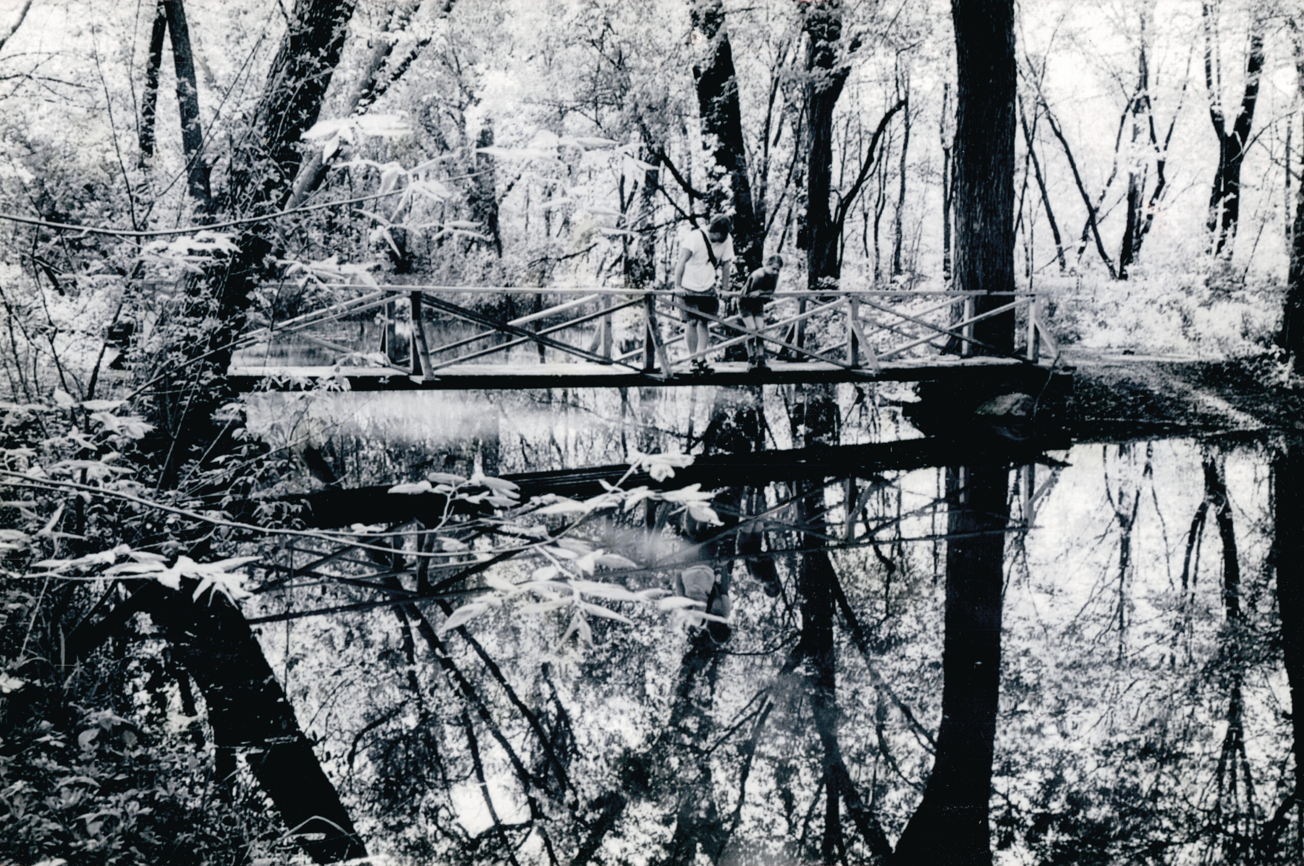 A man and young girl standing on a bridge over a river in a forest with many trees