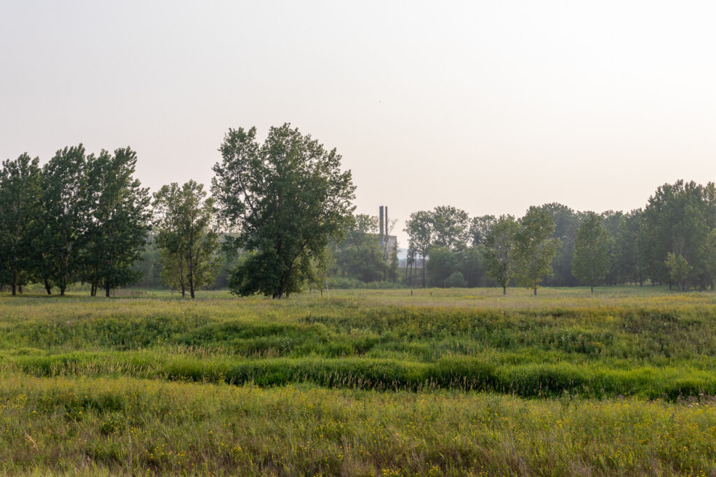 Industrial building with smoke stack peeks through stand of trees behind field of green grass.