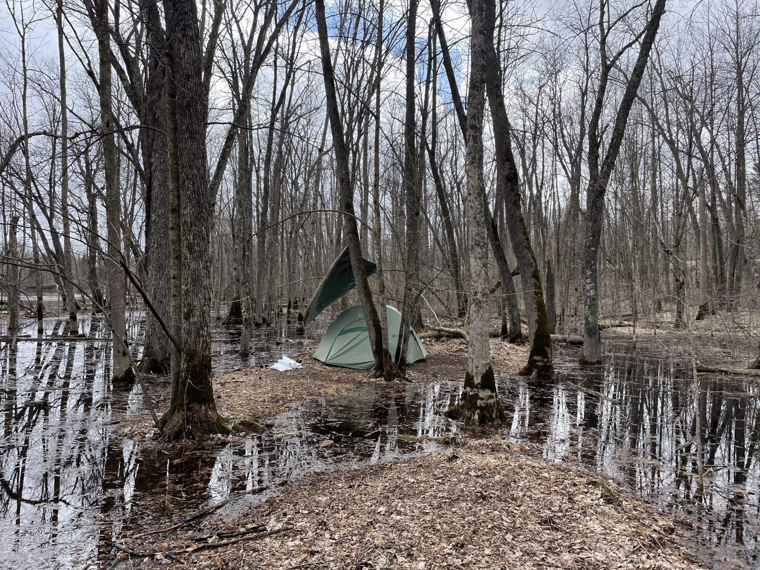 Green tent pitched on small island in muddy riverbed, with brown leafless trees.