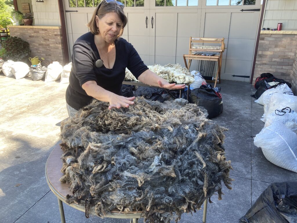 Person wearing black shirt gestures over table loaded with dirty tangles of wool.