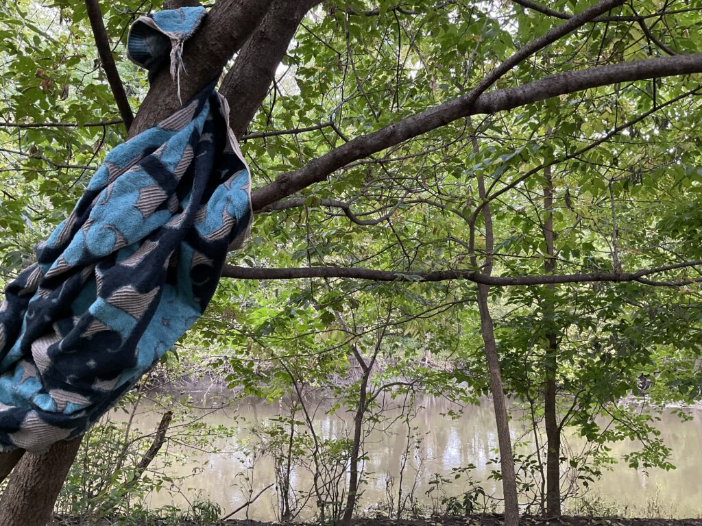Blue patterned blanket wraps around trunk and branches of tree, with pond below.