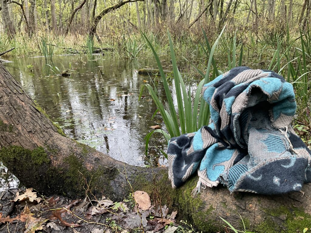Blue patterned blanket curls over trunk of tree, facing pond with green plants.