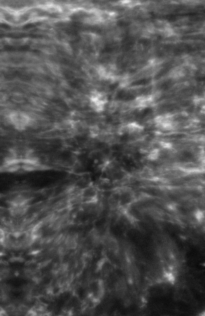 Mottled and indistinct image in grayscale.