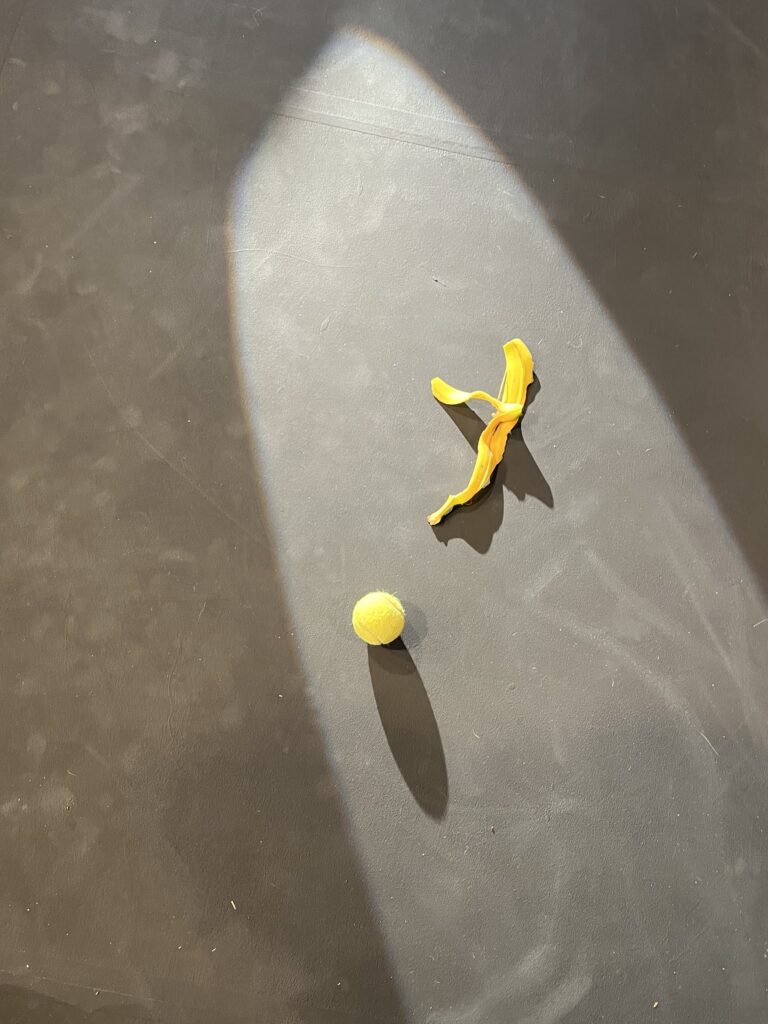 Banana peel and yellow tennis ball lit by spotlight on dark gray, scuffed floor.