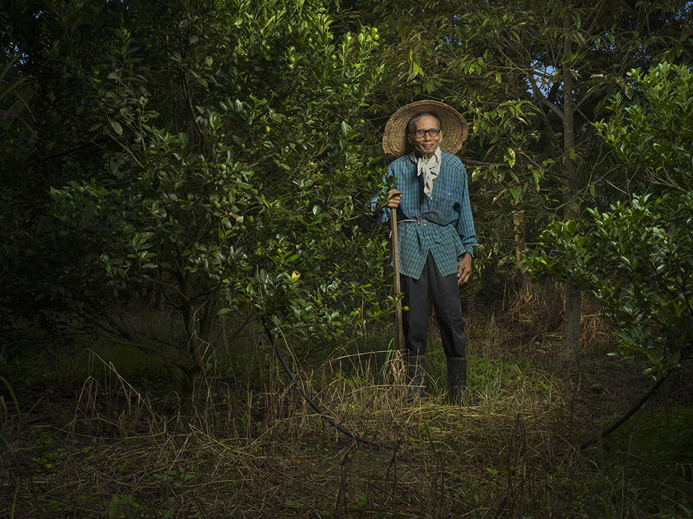 Elderly person with brown skin standing in a lighted clearing among trees.