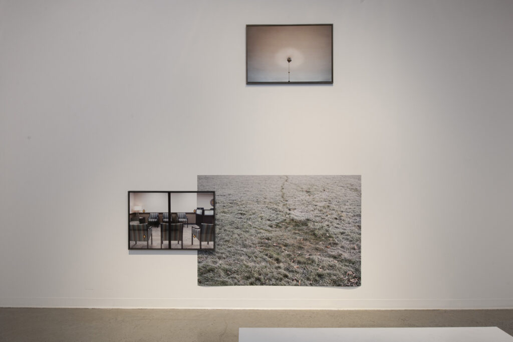 3 photographs arranged on a white wall; a dandelion, restaurant, and frosty grass.