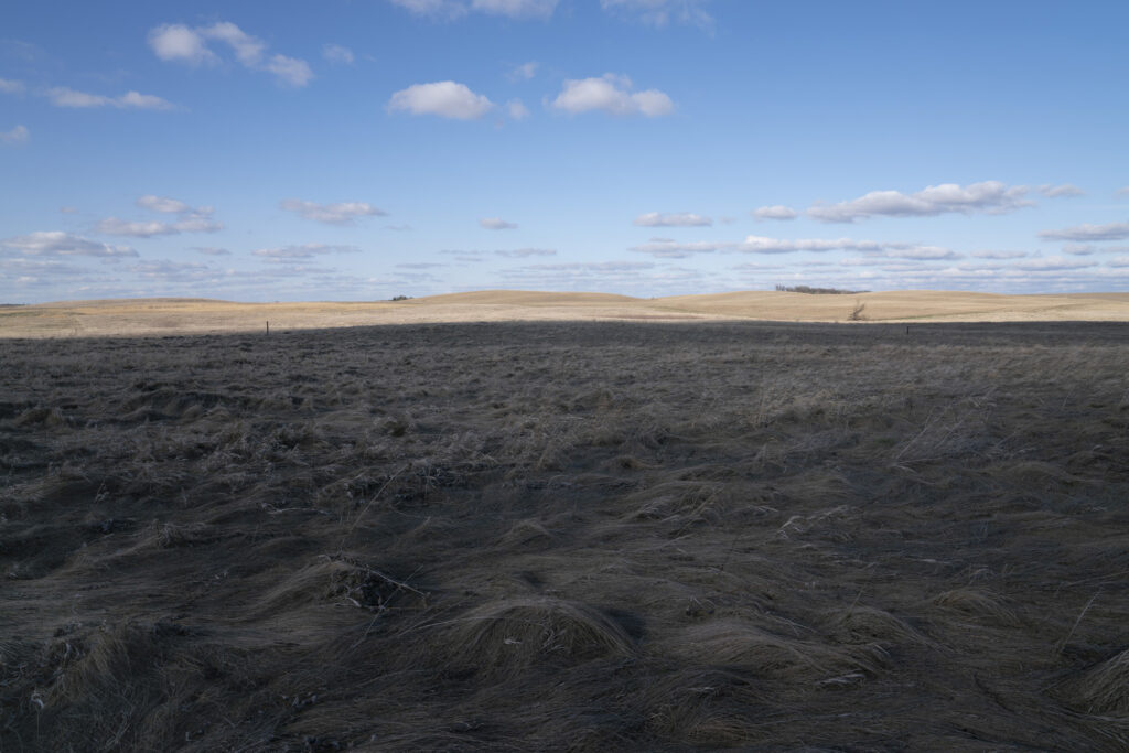 Photograph of a large field of dead windswept grass with hills in the background.