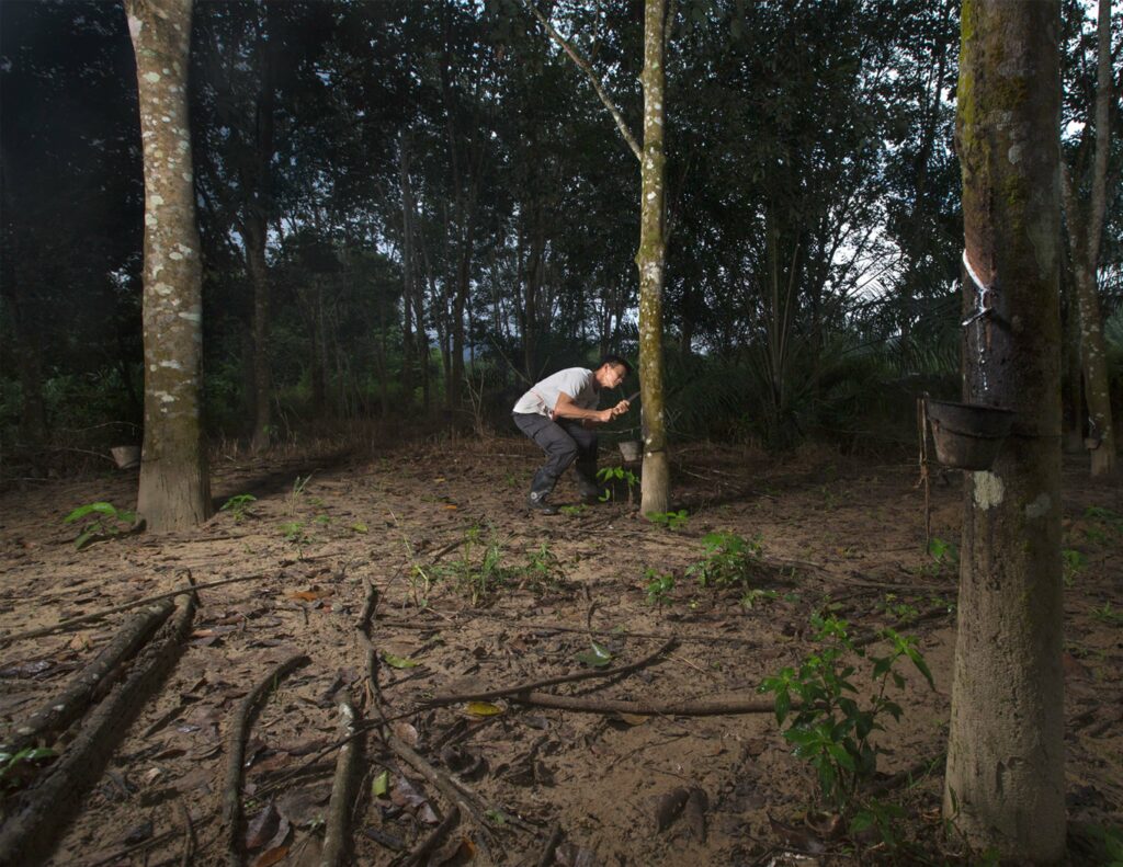 Person bent over with a blade held at a tree trunk in a forest clearing.