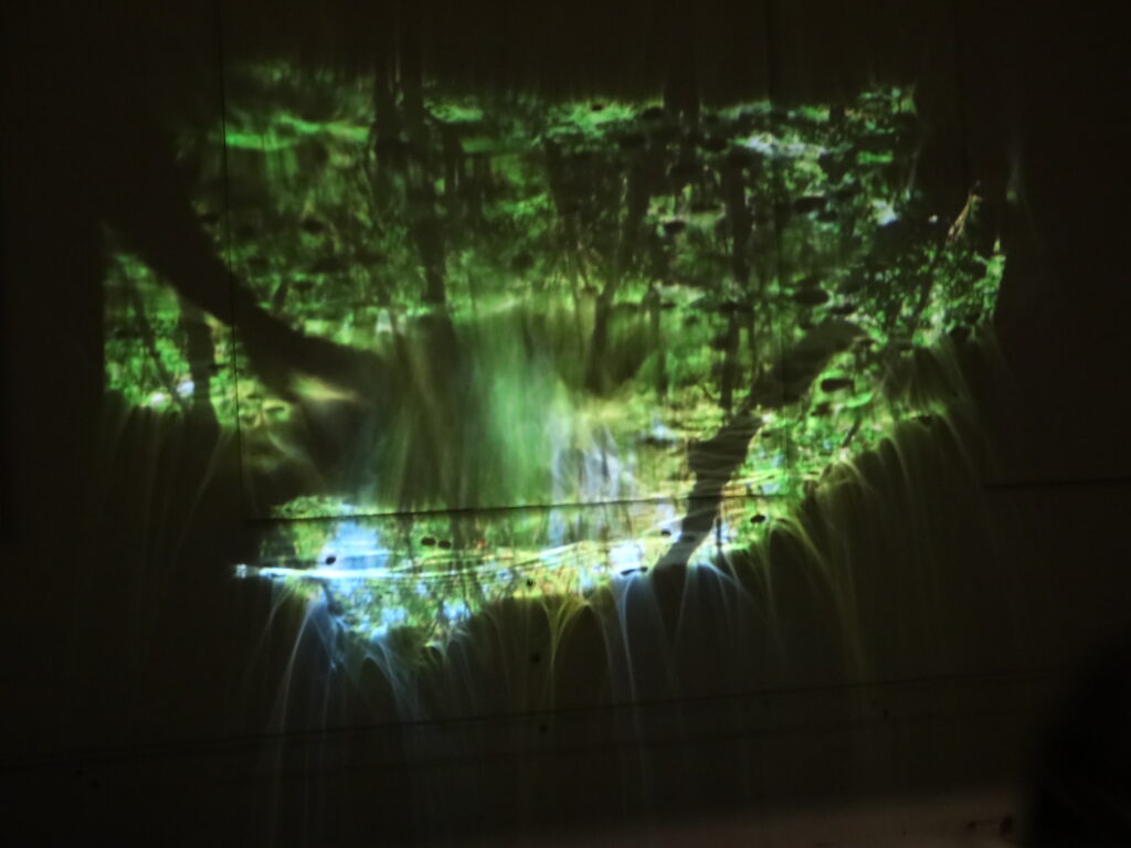 Image of green forest, projected and reflected upside down by pool of water.