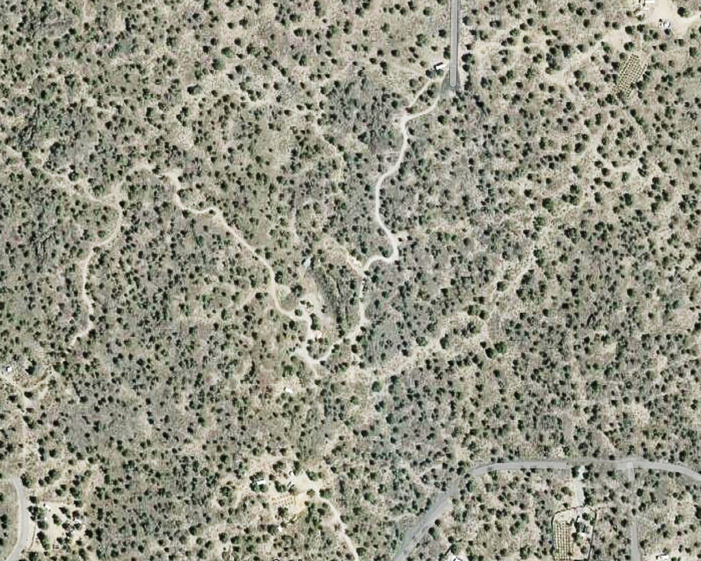 Overhead satellite image of trees and rivers.