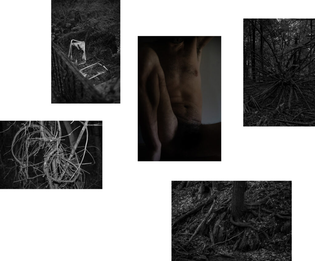 Five photos arranged with white space, featuring tree roots and bodies.