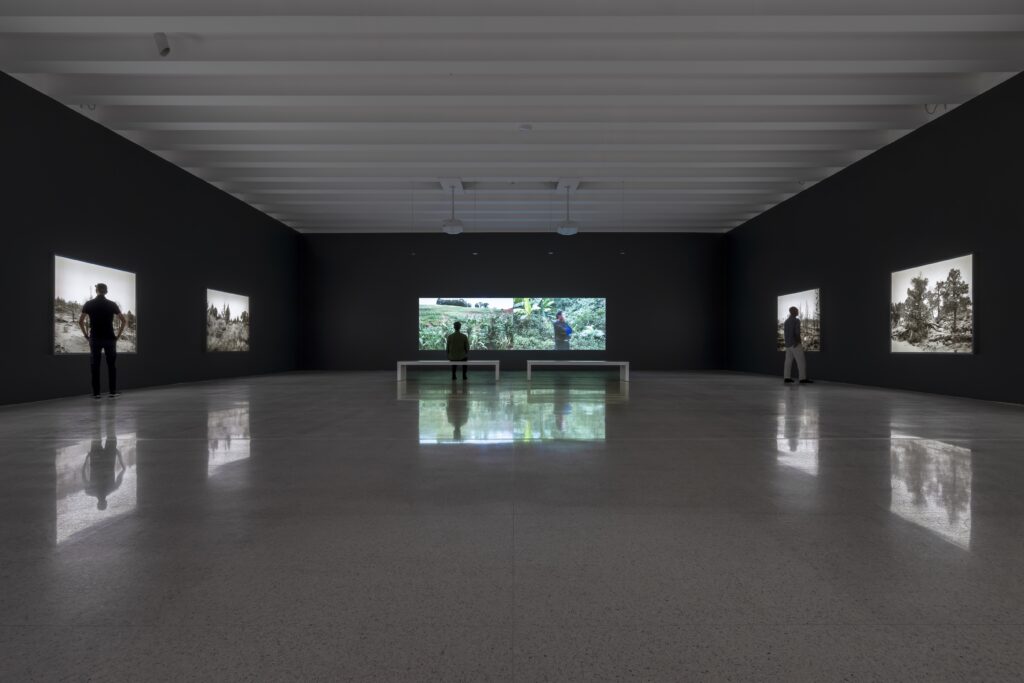 Large gallery with dark gray walls, black and white photos in light boxes on either side, green light box on far wall, and viewers on benches.