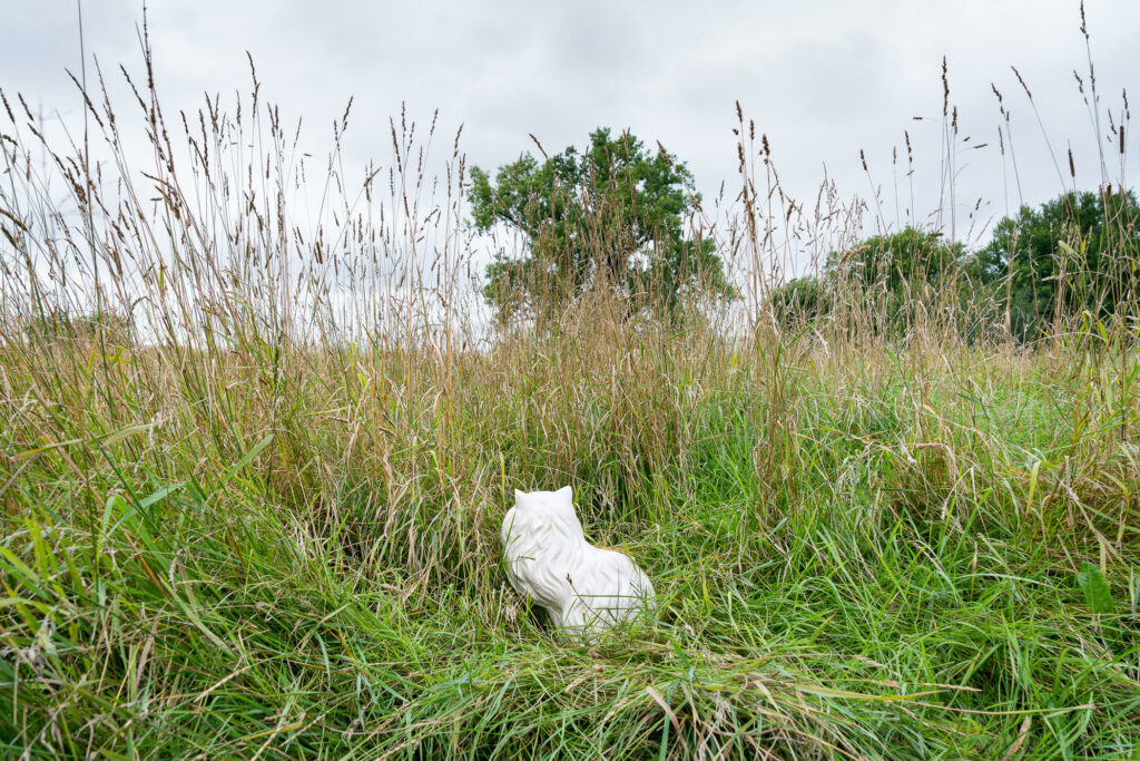 Plastic white cat faces away from camera into green field, with trees in background.