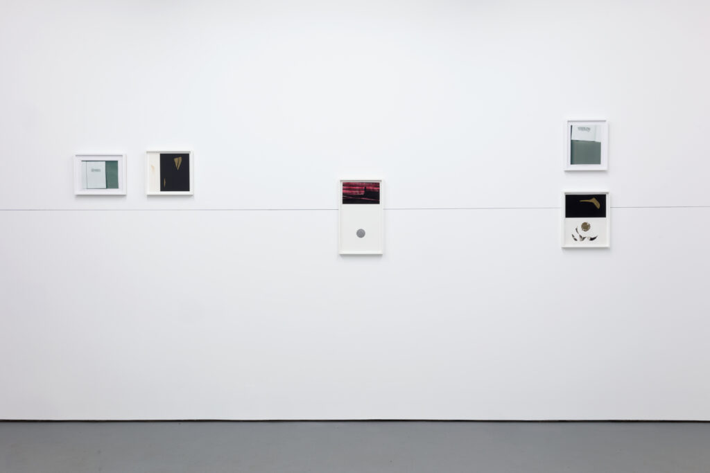 Five small artworks arranged on a white gallery wall with a black line running horizontally in the middle