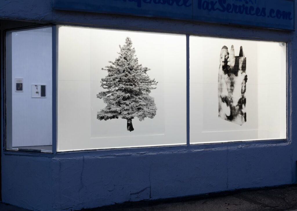 View into the lighted front windows of a gallery, with two black and white images