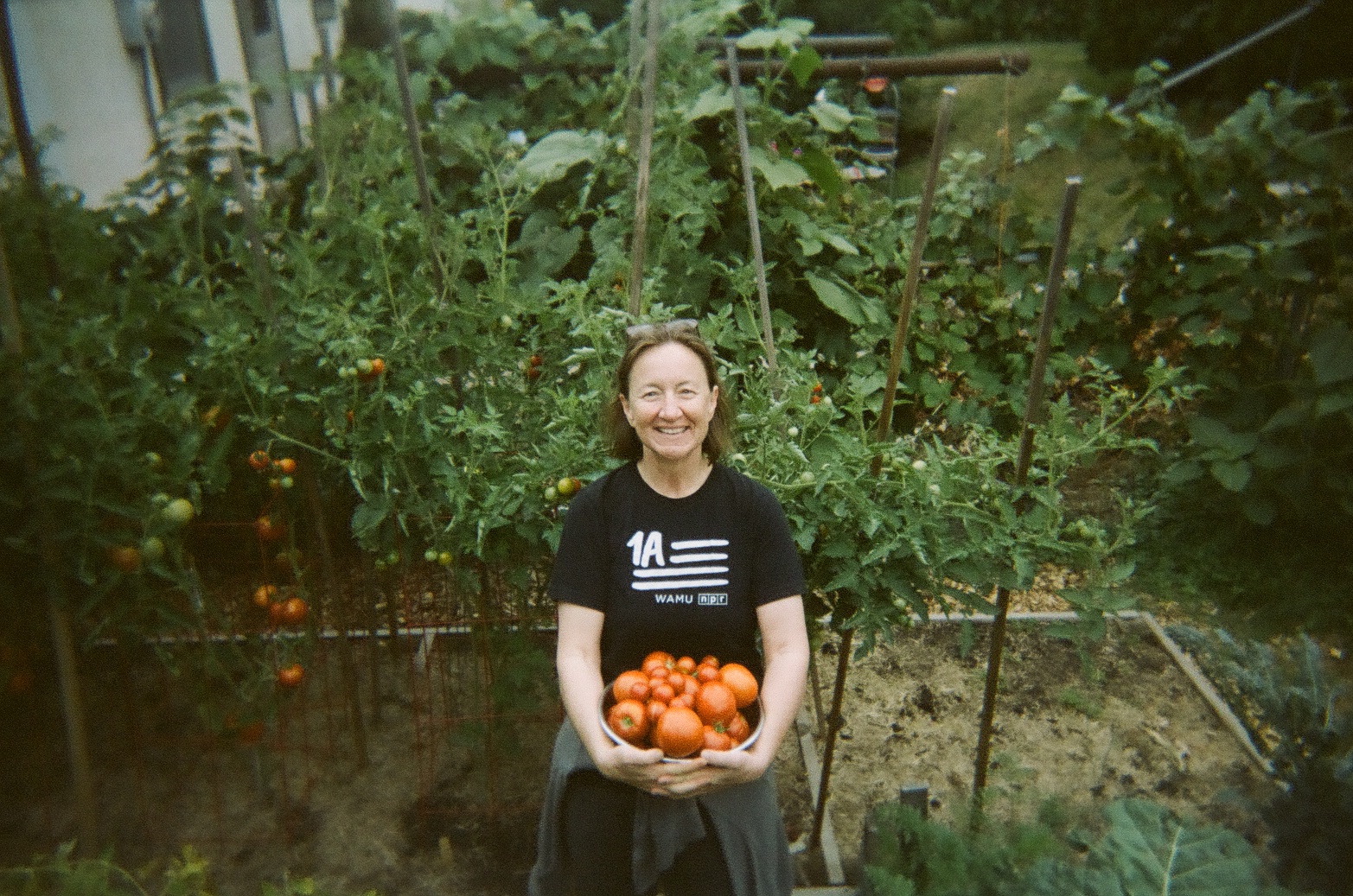 Person with light skin holds basket of tomatoes in her arms and smiles at the camera, with tall tomato plants behind her.