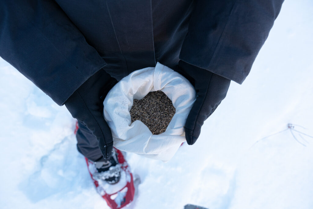 Person with black winter coat and gloves and red snowshoes holds bag of seeds in both hands.