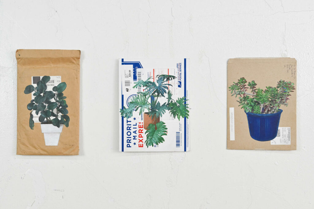 Potted plants painted on mailing envelopes.