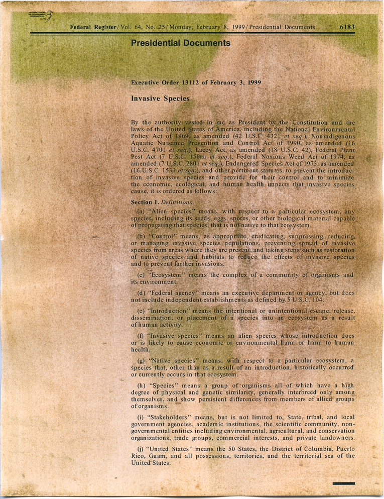Weathered paper with black text in paragraphs overlaid with green patches.