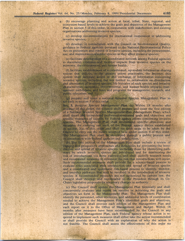 Weathered paper with black text in paragraphs and outline of green leaves on stem.