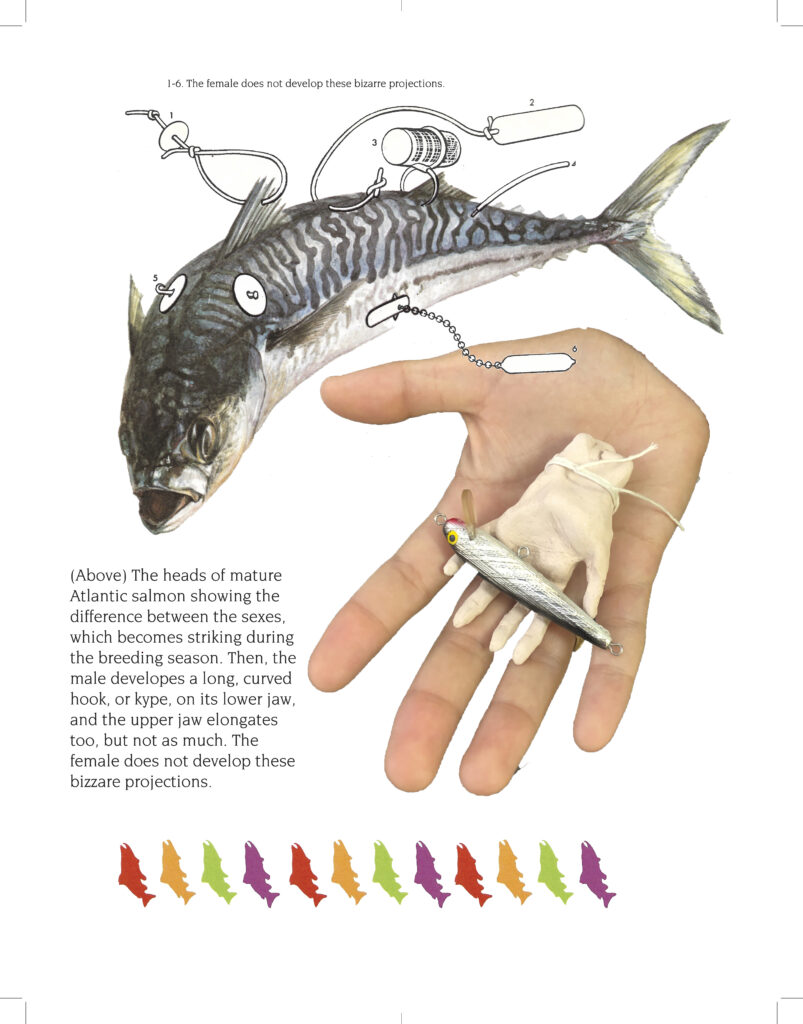 Collage with drawing of salmon, hand holding another hand figurine, and fishing lures.