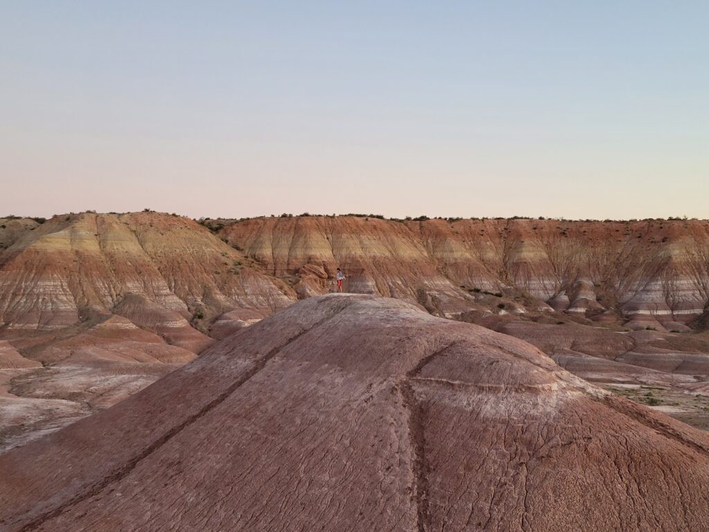 Person wearing red leggings stands on top of mountain in desert landcape.