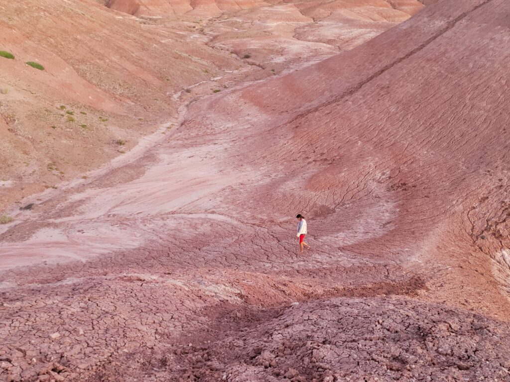 Person wearing silver top and red leggings walks across desert landscape with red dirt.