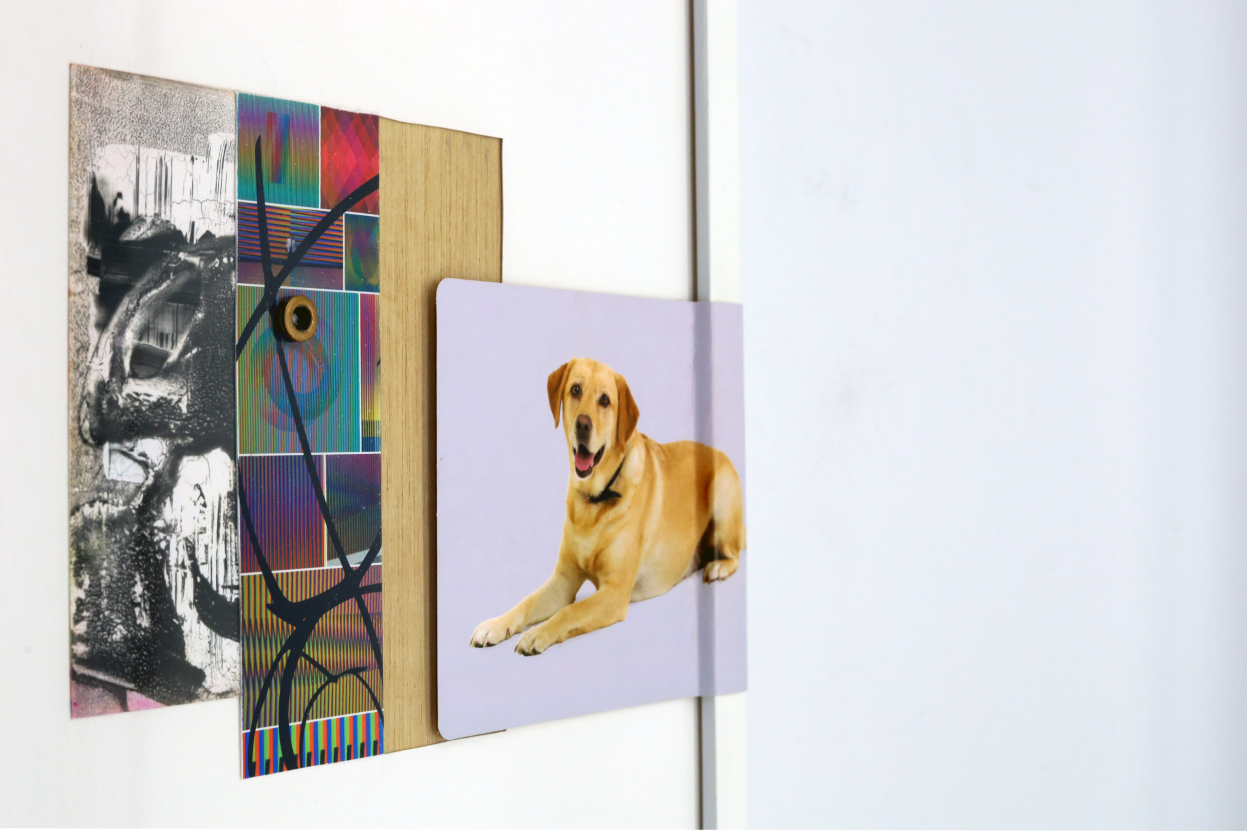 2D artwork on white wall with black and white panel, multicolored panel, fake blonde wood panel, and photo of golden retriever on lavender background.