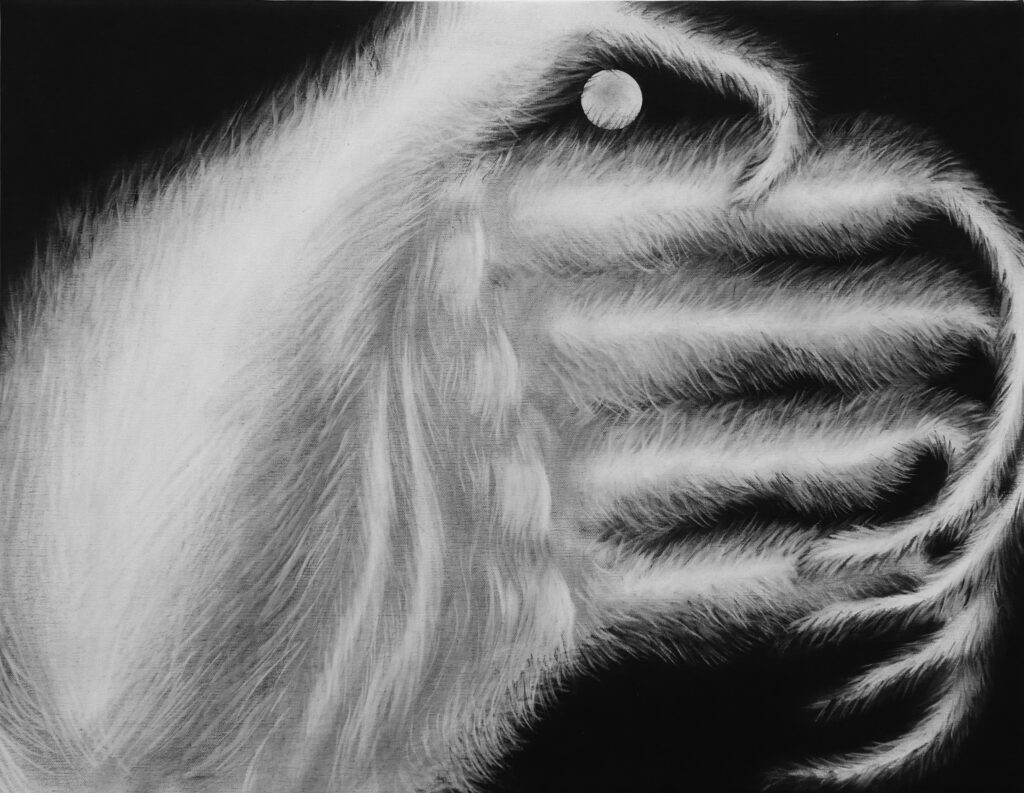 Black and white drawing of fuzzy hand with long fingertips and moon in background