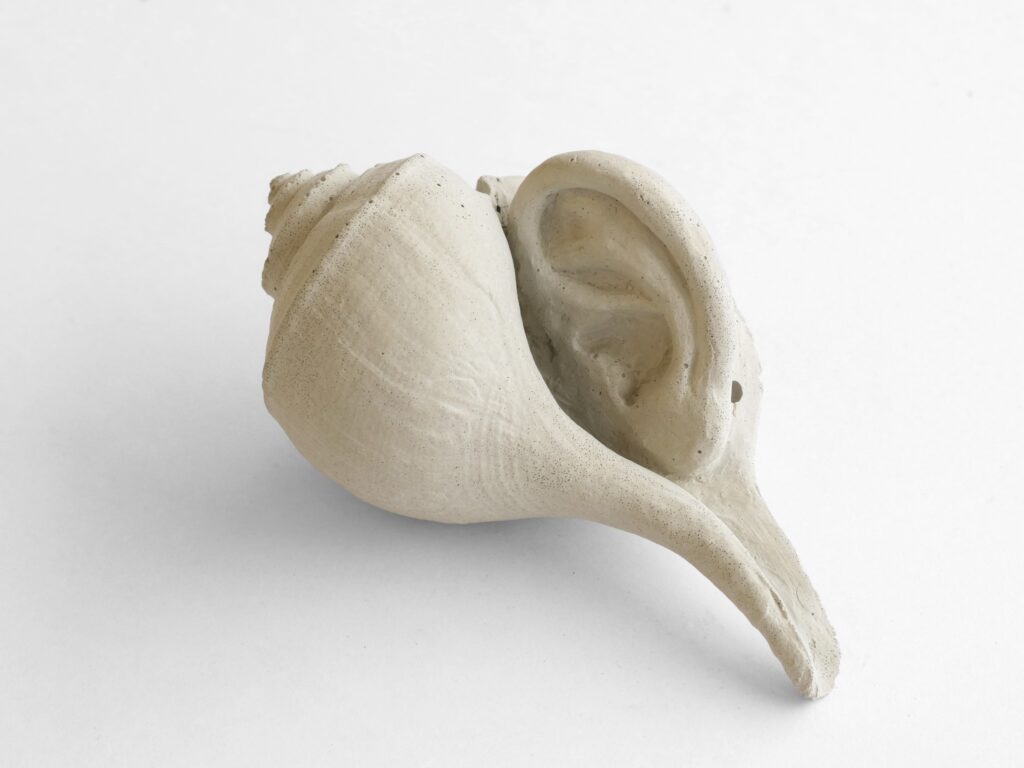Shell with ear in gap cast in concrete