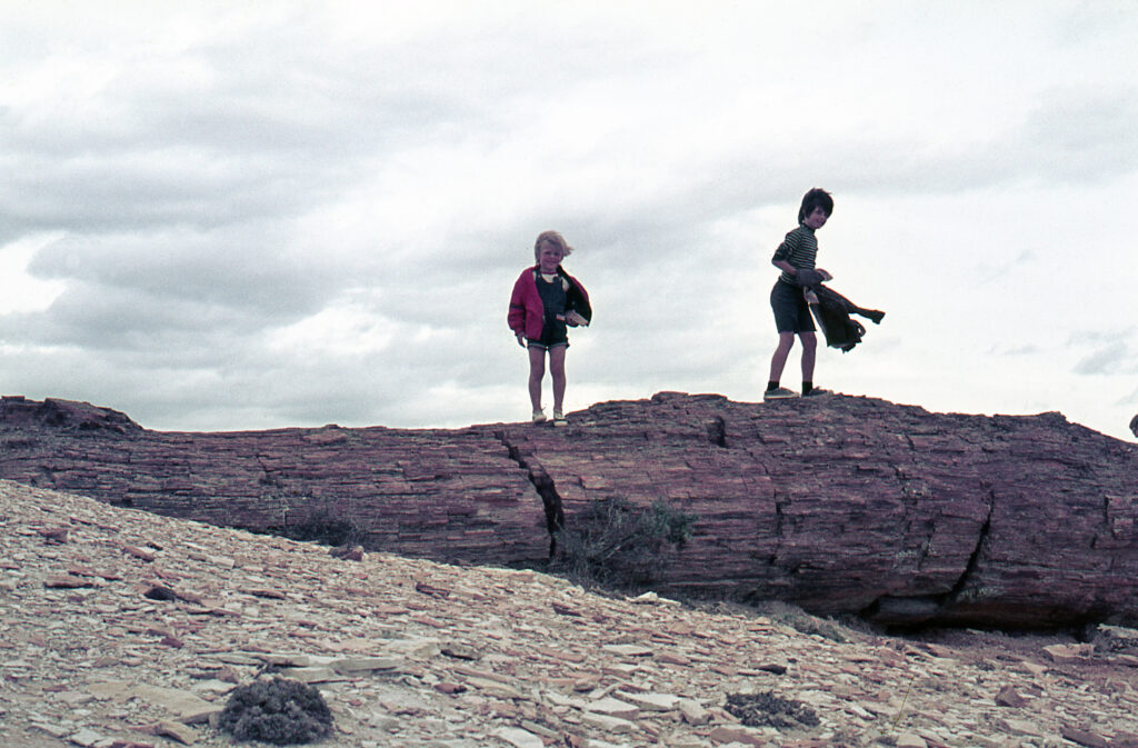 Two children stand on a petrified log with wind blowing their hair