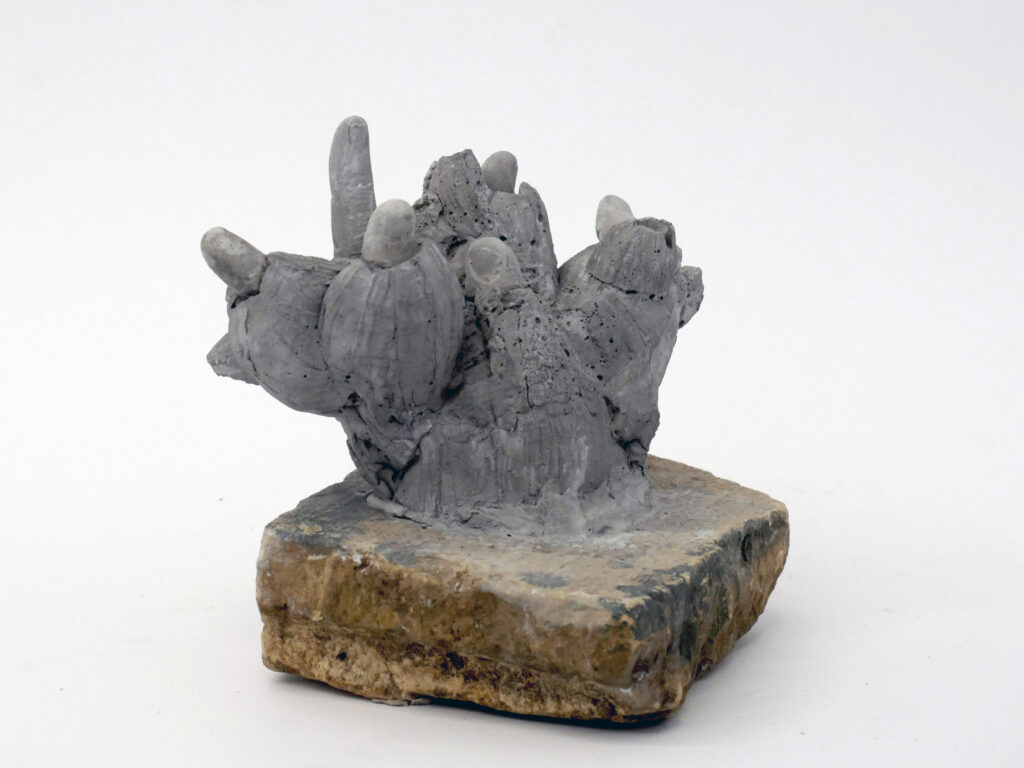 Barnacle with fingers cast in concrete and mounted on stone