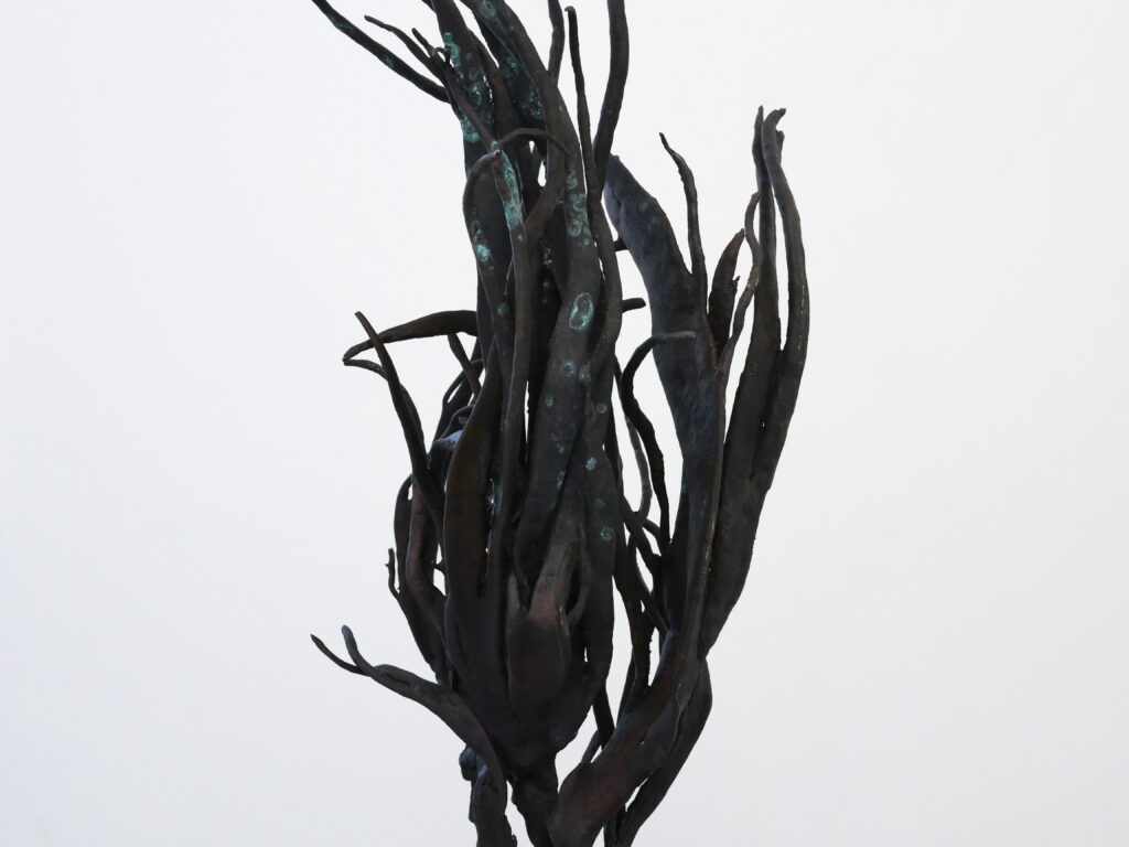 Blackend bronze cast of seaweed