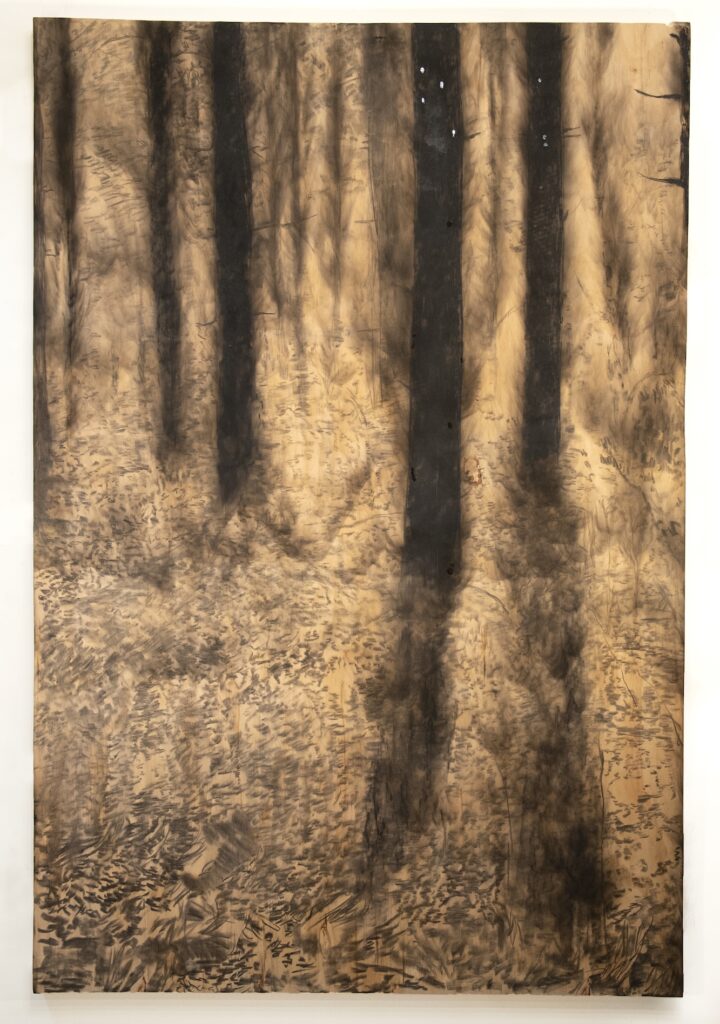 Charcoal drawing on wood panel of landscape with dark trees