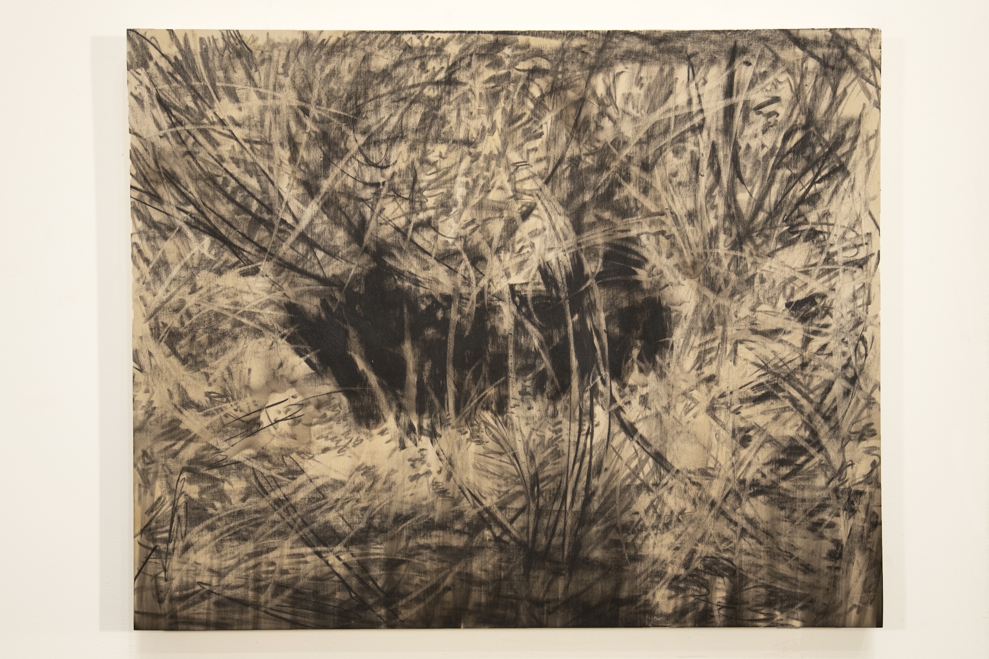 Charcoal drawing on wood panel of dark hole surrounded by grass