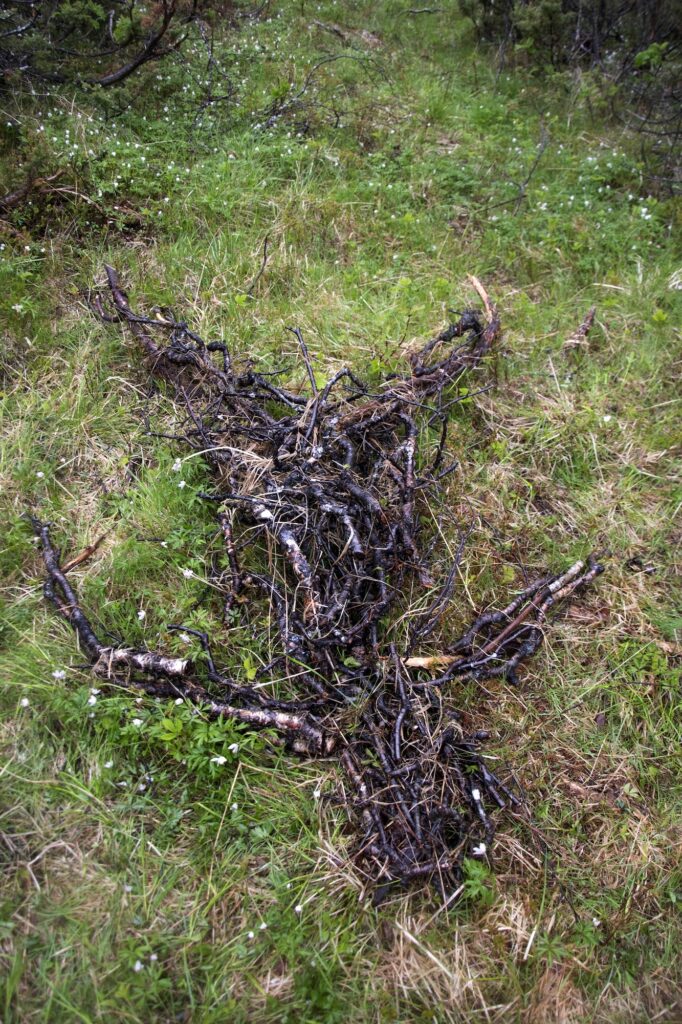 Deteriorating human figure made of sticks on grass with small white flowers