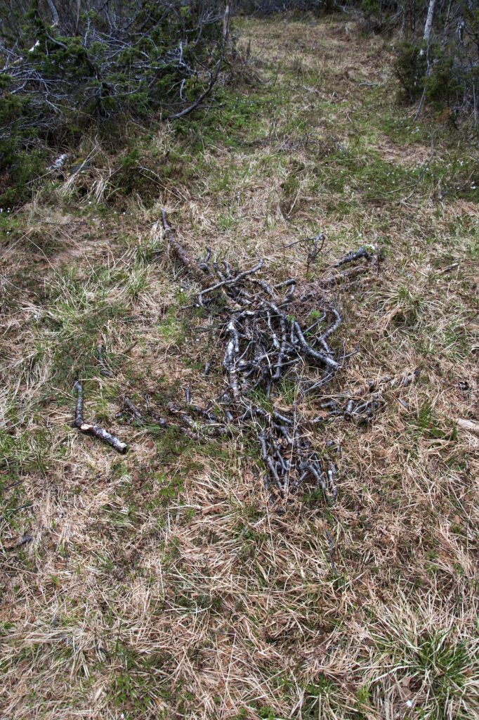 Deteriorating human figure made of sticks on grass